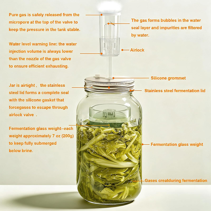 Fermentation Crock - Fermentation Kit, Wide Mouth Mason Jars