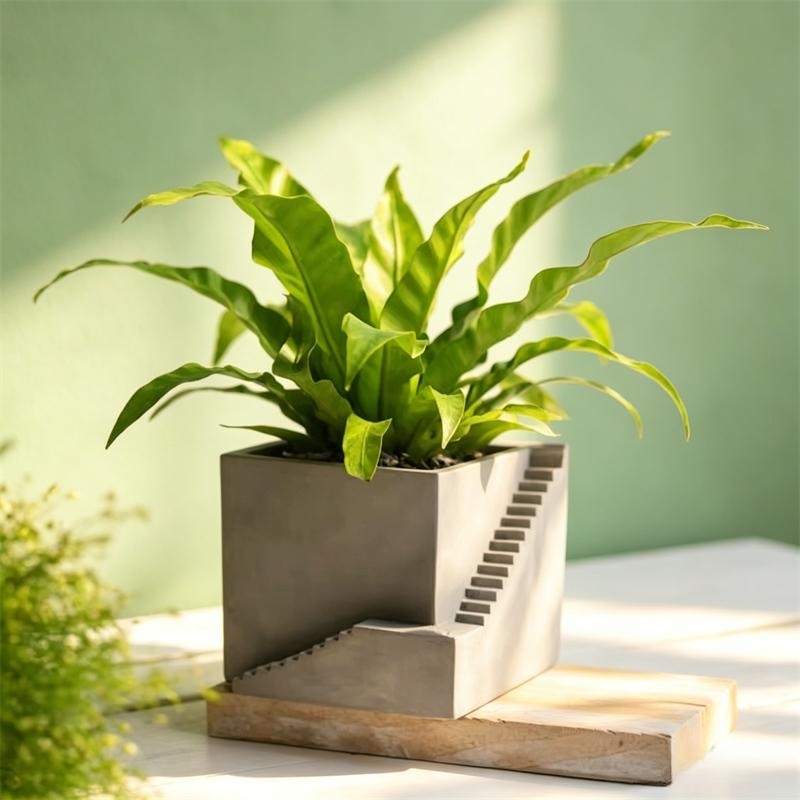 Square Stairs Shape Succulent  - Tagine Clay Pot ulasan dan harga