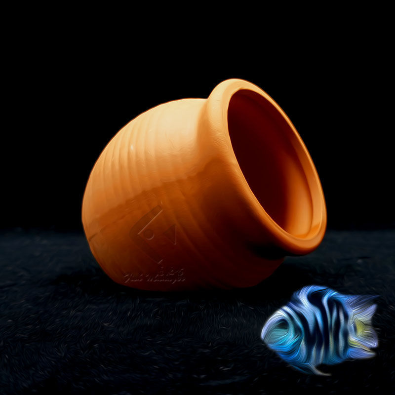 Aquarium Mini Ceramic Tank Fis - Tagine Clay Pot ulasan dan harga
