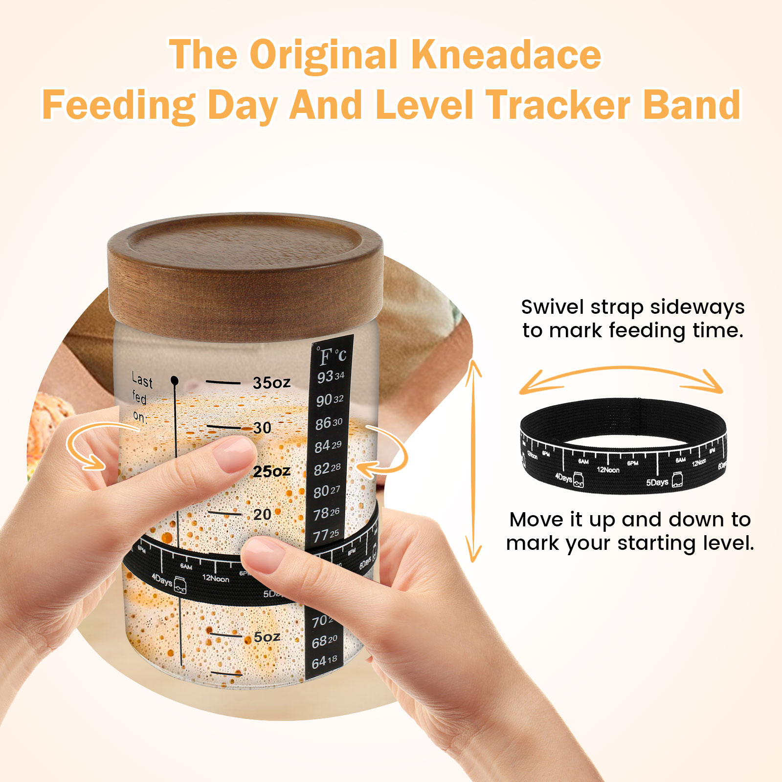 Sourdough Starter Jar Kit 1000 - Fermentation Crock ulasan dan harga