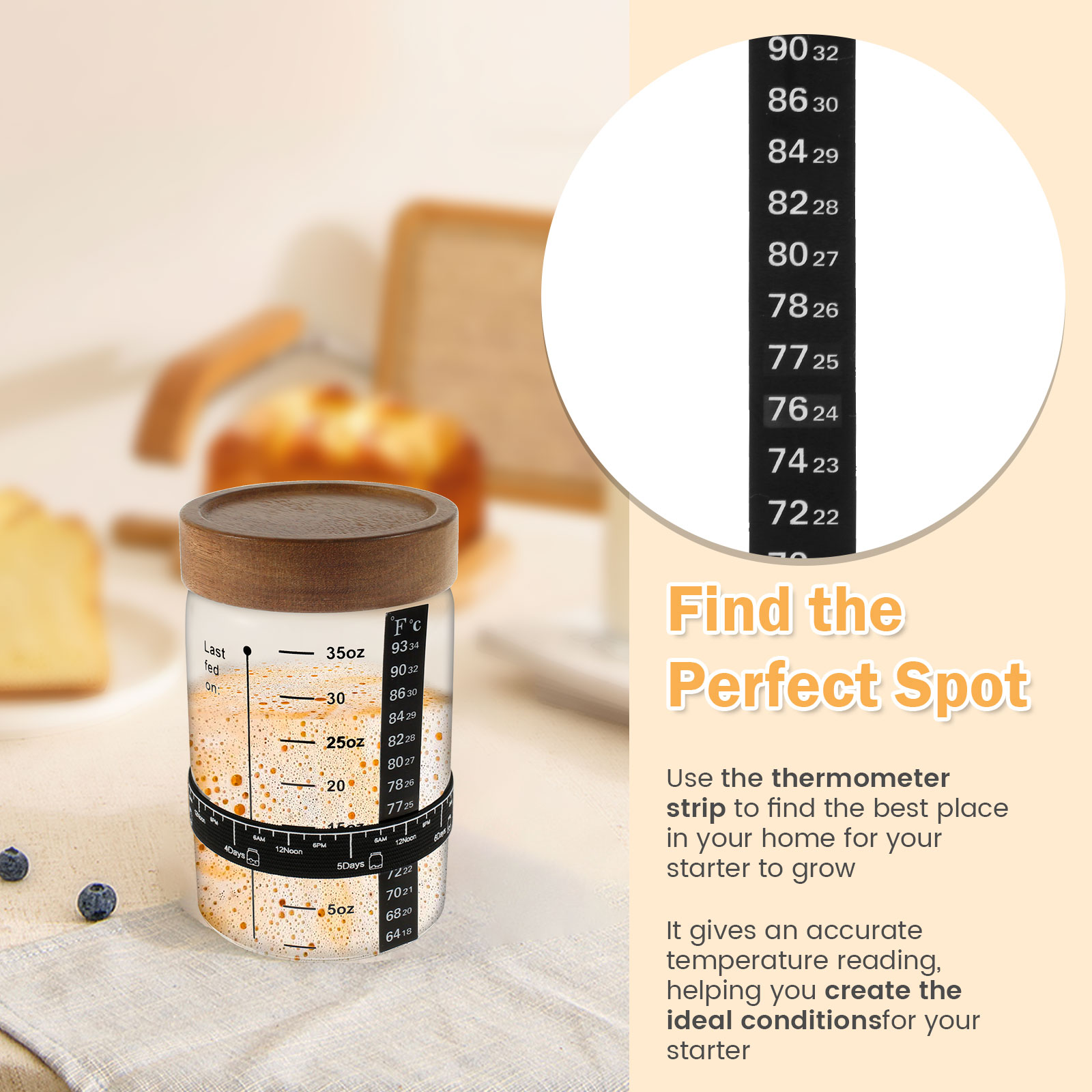 Sourdough Starter Jar Kit 1000 - Fermentation Crock ulasan dan harga